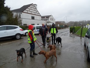 sized 1024 Lentewandeling 2015 052